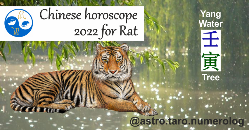 Китайский гороскоп на 2022 год для крысы